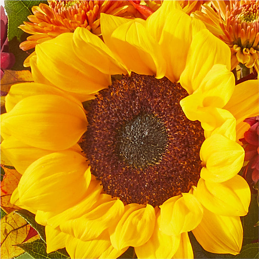 Sunny Side Bouquet – BO'S ACCENT FLOWERS, Middlesboro KY
