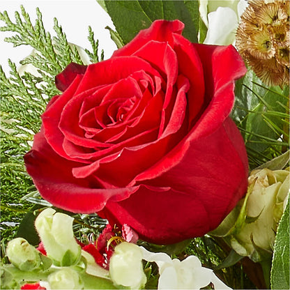 Deck the Halls Bouquet – BO'S ACCENT FLOWERS, Middlesboro KY