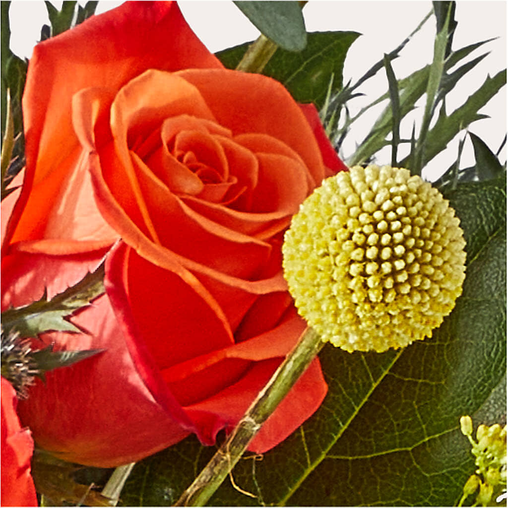 Disco Bouquet – BO'S ACCENT FLOWERS, Middlesboro KY