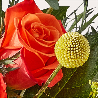 Disco Bouquet – BO'S ACCENT FLOWERS, Middlesboro KY