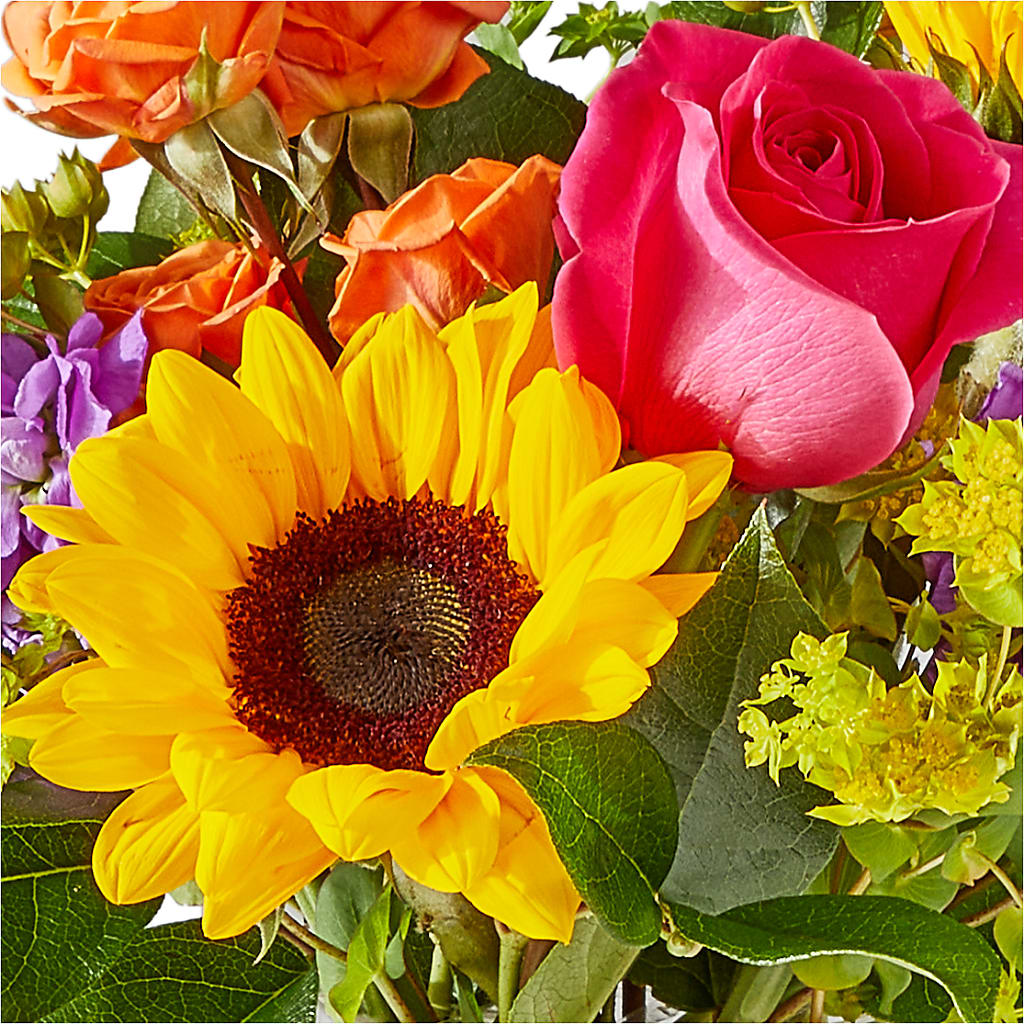 Vibrant Greetings Bouquet – BO'S ACCENT FLOWERS, Middlesboro KY
