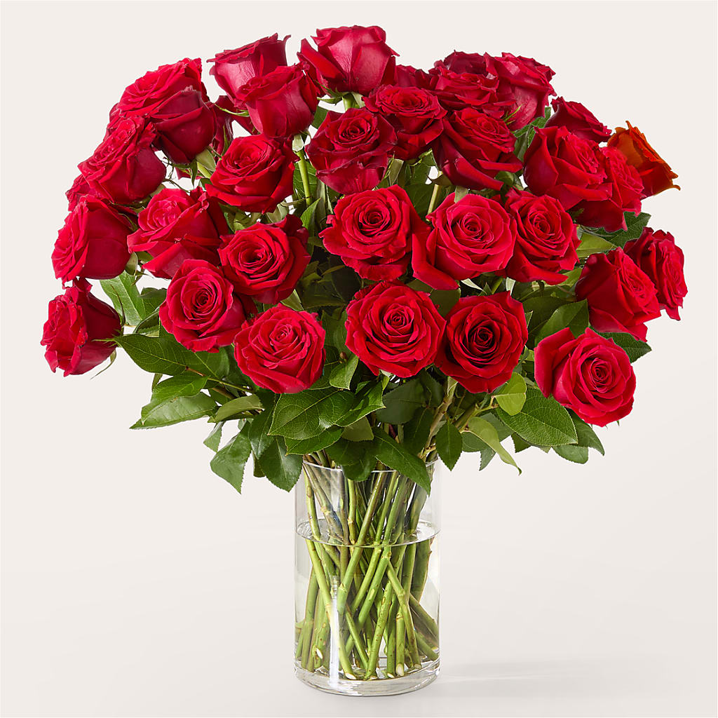 The One Red Rose Bouquet – BO'S ACCENT FLOWERS, Middlesboro KY