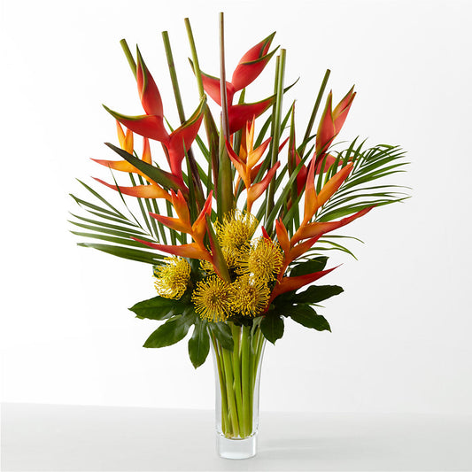 The Drama – BO'S ACCENT FLOWERS, Middlesboro KY